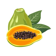 juicy orange cut papaya with leaves. Isolated vector summer fruit on white background for design