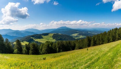 beautiful panorama of the pieniny mountains