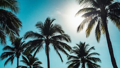 Fototapeta na wymiar tropical palm tree silhouettes on a blue background tropical summer backdrop vector generative ai