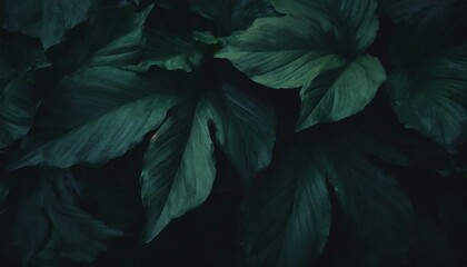 green leaf nature background