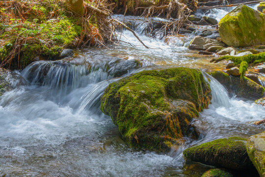 The stream flows over rocks with moss in the forest, a small waterfall on the rocks