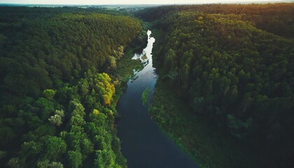natural river between the forest aerial high view
