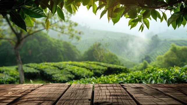 Empty wooden table or wooden desk with tea plantation nature background with green leaves as frame Product display natural background concept
