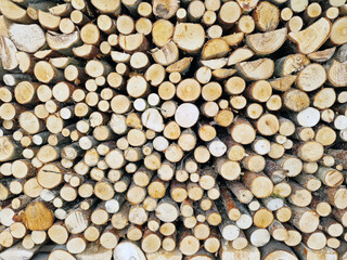 Stack of Firewood