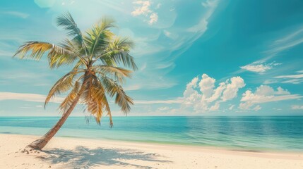 Palm tree on tropical beach with blue sky and white clouds abstract background. Copy space of...