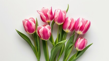 Fototapeta premium Pink tulip flowers bouquet on white background. Flat lay, top view.