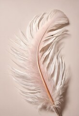 Soft single light feather
