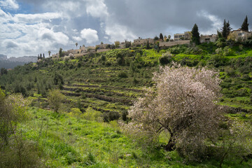 Fototapeta na wymiar A Landscape of the Judea Mountains and Jerusalem on a Spring Day