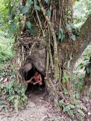 A shirtless man inside a large hole at the base of a tree in the jungle of Colombia