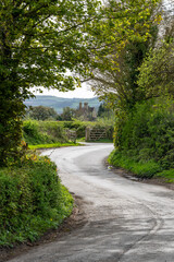 road in the british countryside
