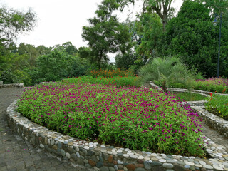 Batumi botanical garden