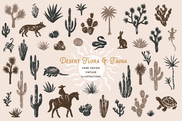 Vintage Desert Illustrations - 783399058
