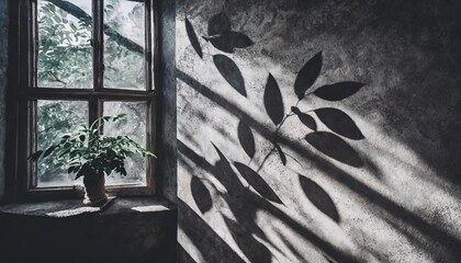 gray shadows of leaves and window on rough wall texture