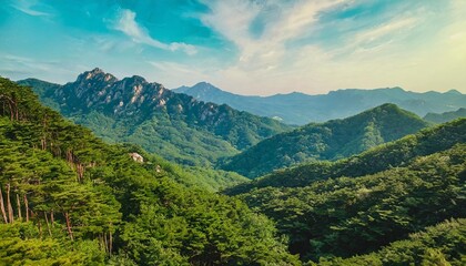 Naklejka na ściany i meble summer mountain forest in south korea