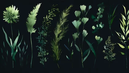 Fototapete Rund floral set of green grasses wild plants and flowers climbing plants and bushes watercolor isolated illustration for your design textile nature print summer cards or wallpapers © Adrian