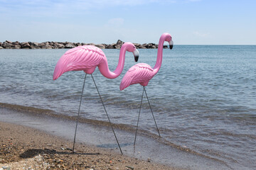 Pink plastic lawn ornament flamingos in a realistic beach setting standing in the water © SockaGPhoto