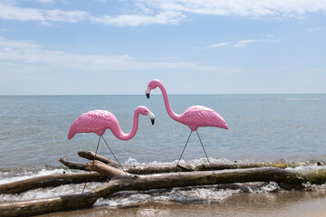 Pink plastic lawn ornament flamingos in a realistic beach setting standing in the water