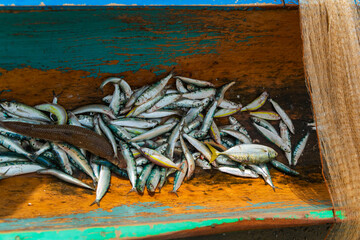 Inhabitants picturesque fishing village of Batavia