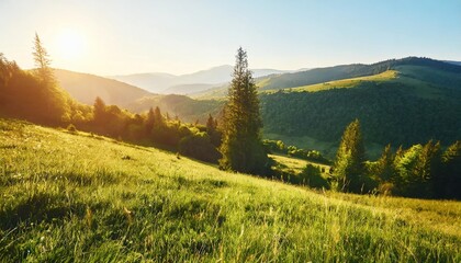 carpathian countryside scenery with grassy meadows and forested hills in evening light mountainous rural landscape of transcarpathia ukraine in spring - obrazy, fototapety, plakaty