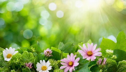 vector summer green nature background flowers and plants on green bokeh background