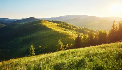carpathian countryside scenery with grassy meadows and forested hills in evening light mountainous rural landscape of transcarpathia ukraine in spring