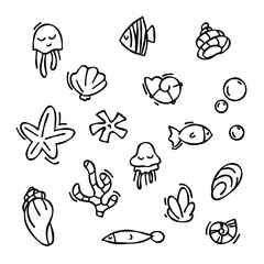 Set of vector elements in doodle style. drawn seashells, starfish, black outline sketch isolated elements on white background for design template. Ocean flora