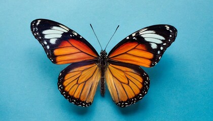 ai generated illustration of a colorful butterfly on a bright blue background