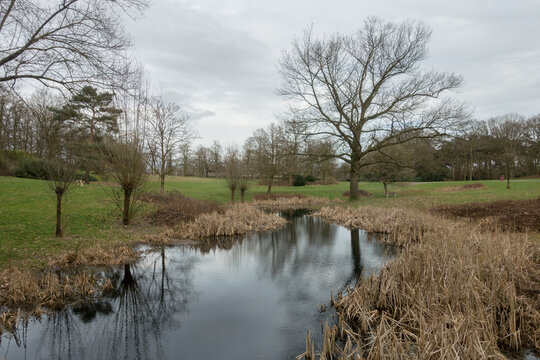 A pond in park De Goffert (Goffertpark) in Nijmegen, Netherlands on a cloudy winter day