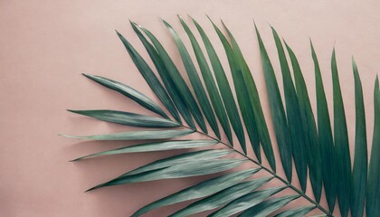 pastel tropical palm leaves