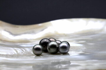 Expensive and luxurious Tahiti black pearls in a white shell on black background, ready to be made...