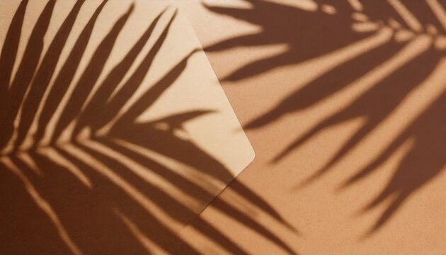 warm brown and beige summer color background with tropical palm shadow two trend pastel paper and exotic plant shade layout minimal flat lay with leaf silhouette overlay