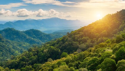panorama banner background of tropical forest landscape scene for using in concept of environmental ecology and sustainable energy or earth day wild wood scenic using for wallpaper of spa and tourism - Powered by Adobe