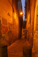 Dark atmospheric alley with street lights during blue hour on a winter evening, Naples, Campania, Italy