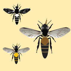 bees vector illustration