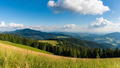 beautiful panorama of the pieniny mountains
