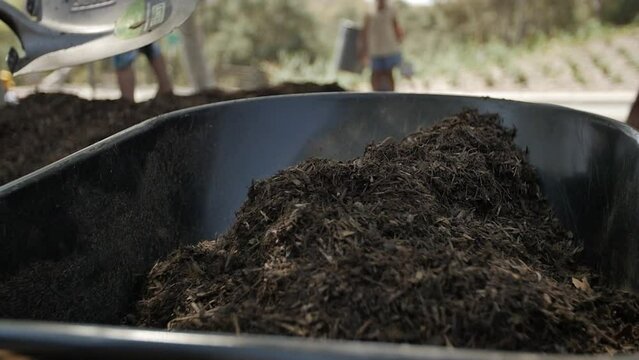 Filling wheelbarrow with soil