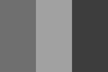 Mali flag original black and white