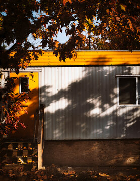 autumn in the city