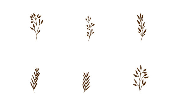 Botanical Flowers Vector Icons Set