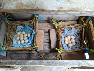 photo of chicken eggs in the laying area
