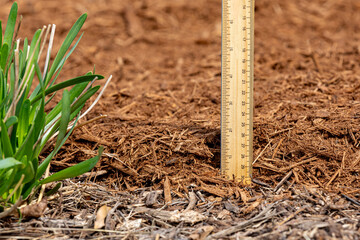Measuring the depth of wood mulch in flowerbed. Lawncare, gardening and backyard landscaping...