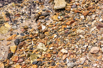 Tortola, British Virgin Islands - March 27, 2024: Close up of rocks and coral on a beach on Norman Island
