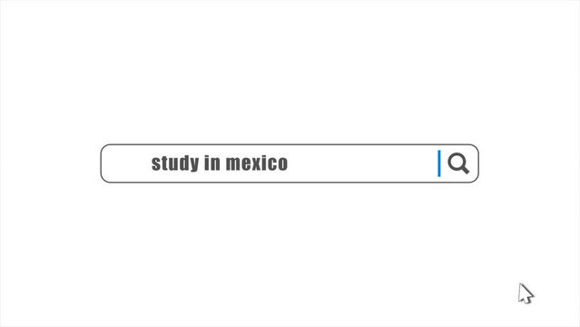 Study in Mexico in search animation. Internet browser searching