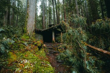 Light mossy covered wood shelter in the forest near Sol Duc Falls Trail in Olympic National Park, Washington, USA