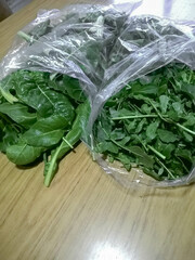 nylon bags with arugula on the table