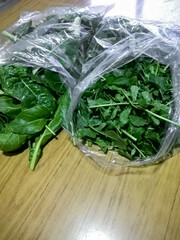 fresh green larugula. nylon bags with arugula on the table