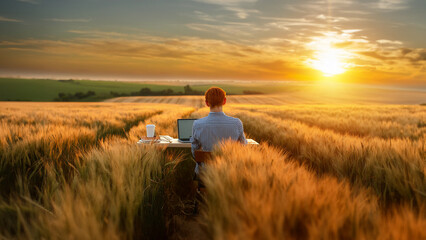 A landscape ratio photo of a white male office worker with red hair sitting at a desk in the middle of a golden field at sunrise with a laptop and a cup of coffee on the desk working remote