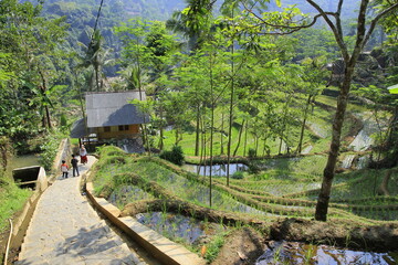 The descending stairs are made permanent in a fertile natural rural area with terraced rice fields.