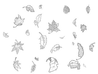 舞い散る落葉の背景（線画）