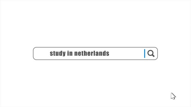 Study in Netherlands in search animation. Internet browser searching